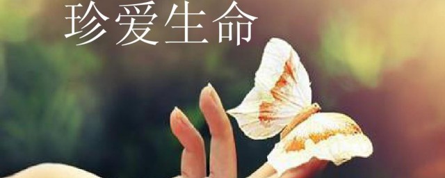 生命的基本特征介绍(生命的基本特征及定义)