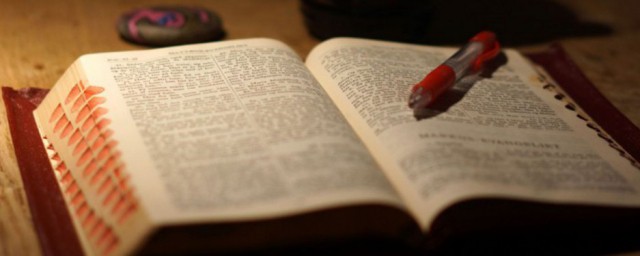 慧眼识英雄解释(今期慧眼识英雄是什么意思)