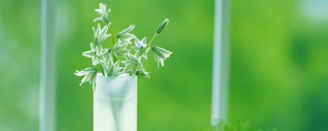 心灵寄语意思(心灵寄语和心灵感悟)