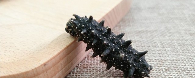 淡干海参怎么发(淡干海参怎样泡发)