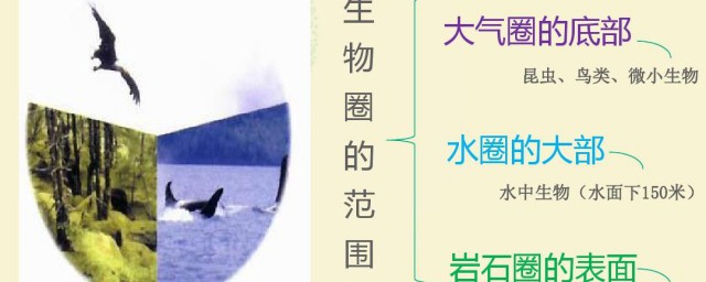 生物圈的范围(生物圈的范围包括海平面上下几千米)