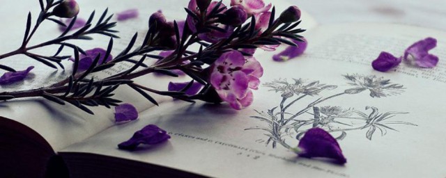 泪眼盈盈解释(泪眼盈盈是什么)