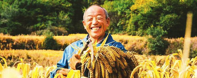 共同富裕一个都不能少(共同富裕不是什么)