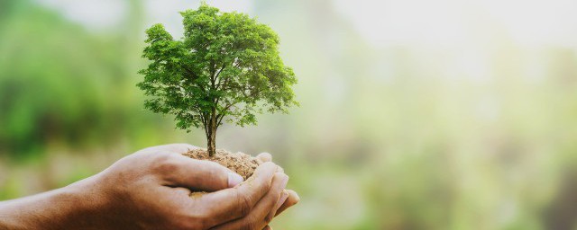 低碳生活的意义(低碳生活的意义和价值)