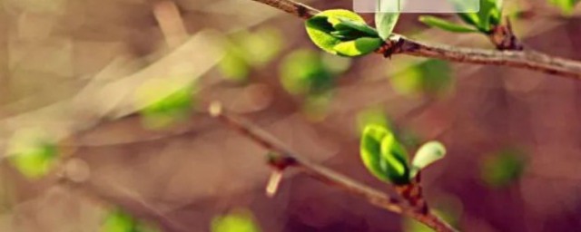 采光是什么(采光是什么美容)