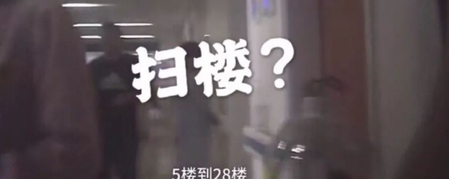 扫楼是什么(扫楼是什么意思百度百科)