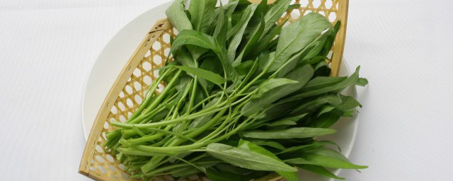 怎么做凉拌空心菜(空心菜怎么做凉拌菜)