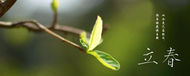 立春祝福语的朋友圈文案语录(立春图片朋友圈立春文案说说)