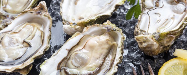 如何快速开生蚝(怎么快速的开生蚝)