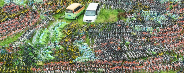 密密麻麻的理解(密密麻麻是什么意思)