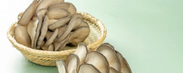 炒平菇的做法是什么(炒平菇怎样炒)