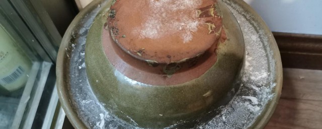 怎样形成泡菜坛内的白膜的(制作泡菜时坛内长白膜的原因)