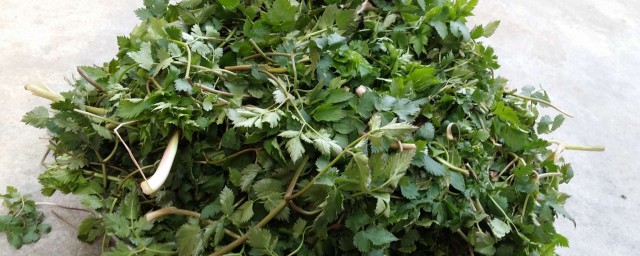 怎样储存山芹菜(芹菜怎么保存)