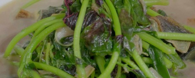 教你臭苋菜梗做法(臭苋菜梗是什么味道)