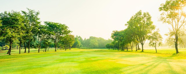 写景作文的方法介绍(写景作文的步骤与方法)