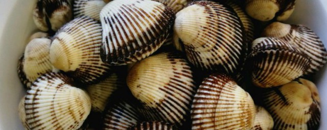 毛蚶煮多久可以吃(毛蚶煮几分钟)