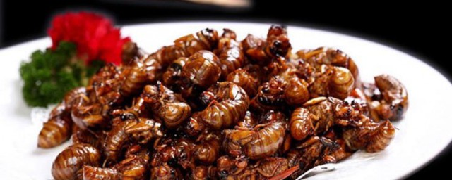 怎么做油炸知了猴(油炸知了猴要炸多久)