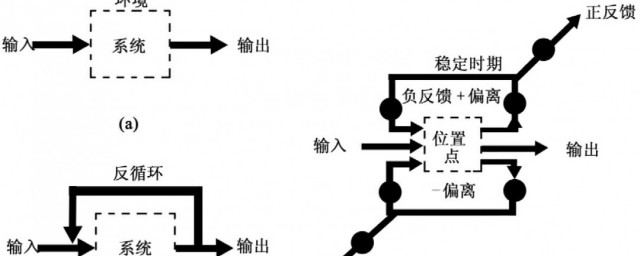 反馈调节意思·(什么叫反馈调节简单解释)