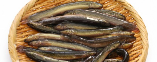 泥鳅煲粥好吃的做法(泥鳅粥怎么煮好吃)