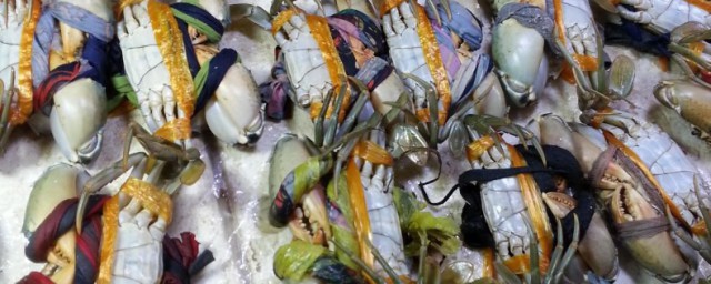 怎样把青蟹的初加工(蟹的初加工一般有几种方法)