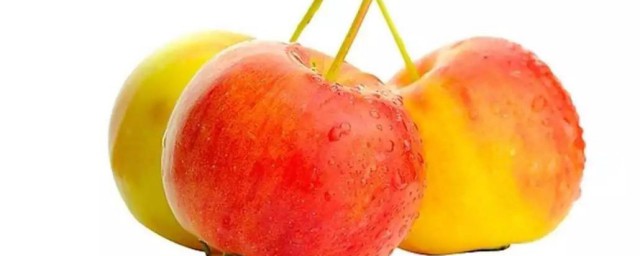 如何储存沙果(沙果放冰箱里怎么保存)