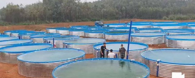 高密度养鱼技术养鱼池建造方法(高密度养鱼鱼池设计)