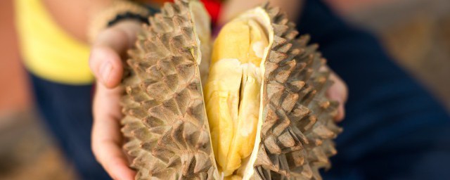 关于榴莲壳作用和用途介绍(榴莲壳有什么作用和功效)