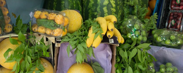 史上最奇葩的7种果实是什么(世界上最神奇的果实)