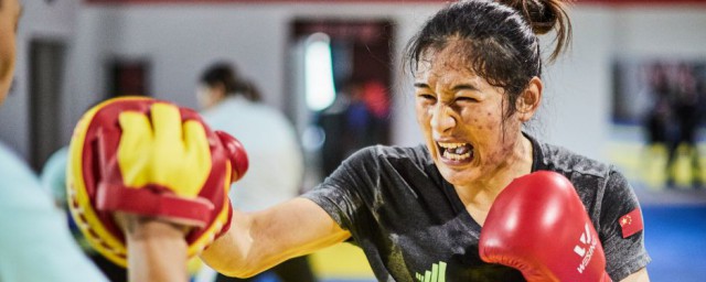 常园的简介(常园是哪个村)