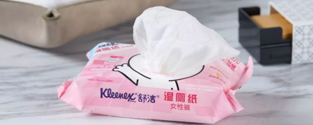 怎么用湿厕纸(厕纸湿巾怎么用)