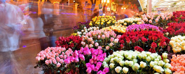 墨梅中的淡写出了有哪些(墨梅的写法特点)