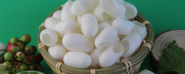 蚕茧有什么作用(蚕的茧有什么作用)