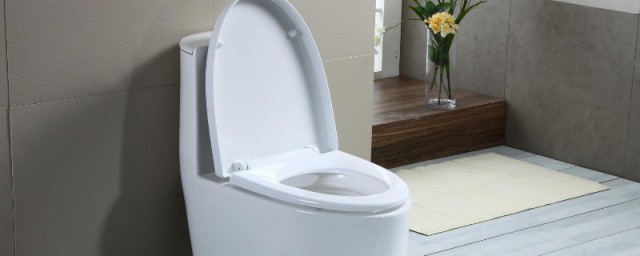 怎么使用马桶呢(马桶该如何使用)