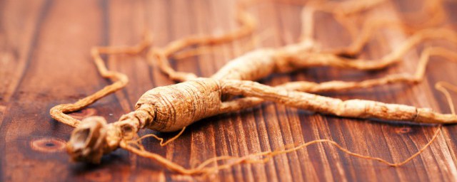 冬季怎么储存参籽(地参怎样贮存)