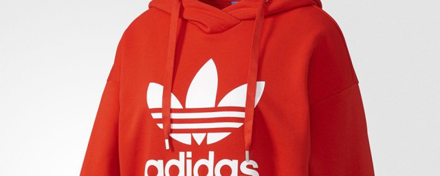 hoodie的含义(hoodie是什么意思英文翻译)