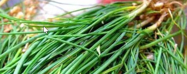 北京山上的是野葱吗(北方有野葱吗)