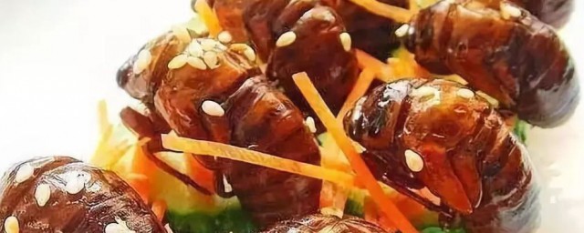 知了的食法(知了的吃法天天饮食)