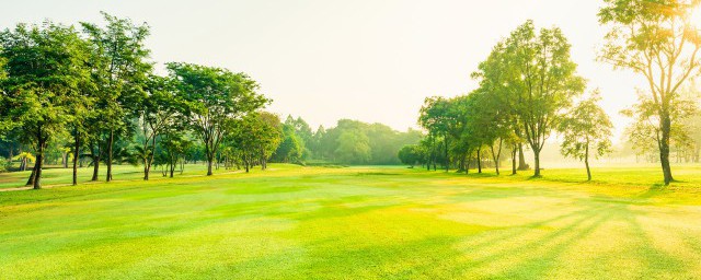 描写公园的短句(描写公园的短句子6个字)