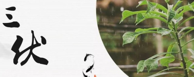 一年中最热是几月(一年中最热是哪几个月)