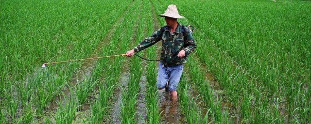 小农意识介绍(小农意识的基本特点)