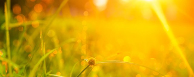 如何理解两三方斜斜的太阳(两三方斜斜的太阳怎么读)