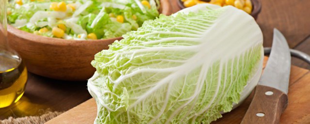 白菜的选购技巧总结(大白菜的挑选窍门)