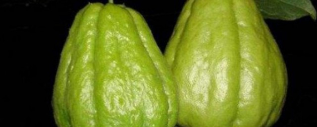 两个巧思就能吃上健康蔬菜(多吃蔬菜更健康)