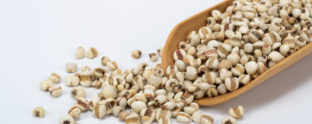 如何解决薏米生虫(薏米生虫子了怎么处理,还能吃吗?)