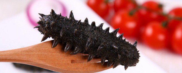 半干海参储存方法介绍(半干海参怎样保存)