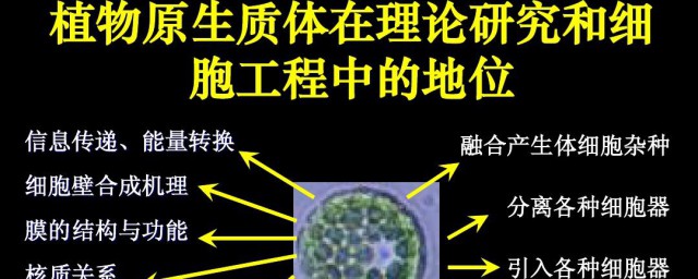 原生质定义(原生质包含什么)