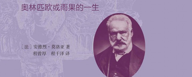 雨果生平简介分享(雨果个人资料及简介)