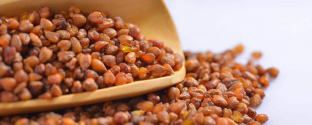 黑苦荞茶的功效(黑苦荞茶的功效与作用及副作用)