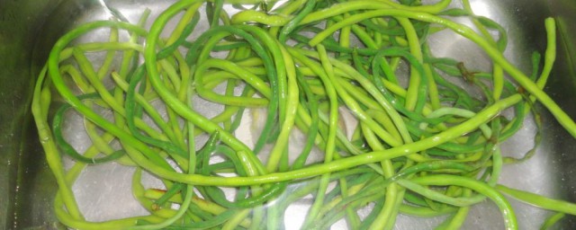 江豆煮水的作用(豇豆开水煮多久)