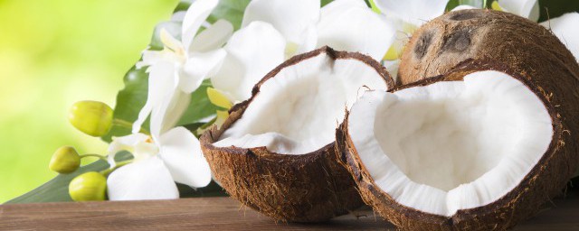 各种椰子的保存期有什么不同(椰子储存温度和时间长)